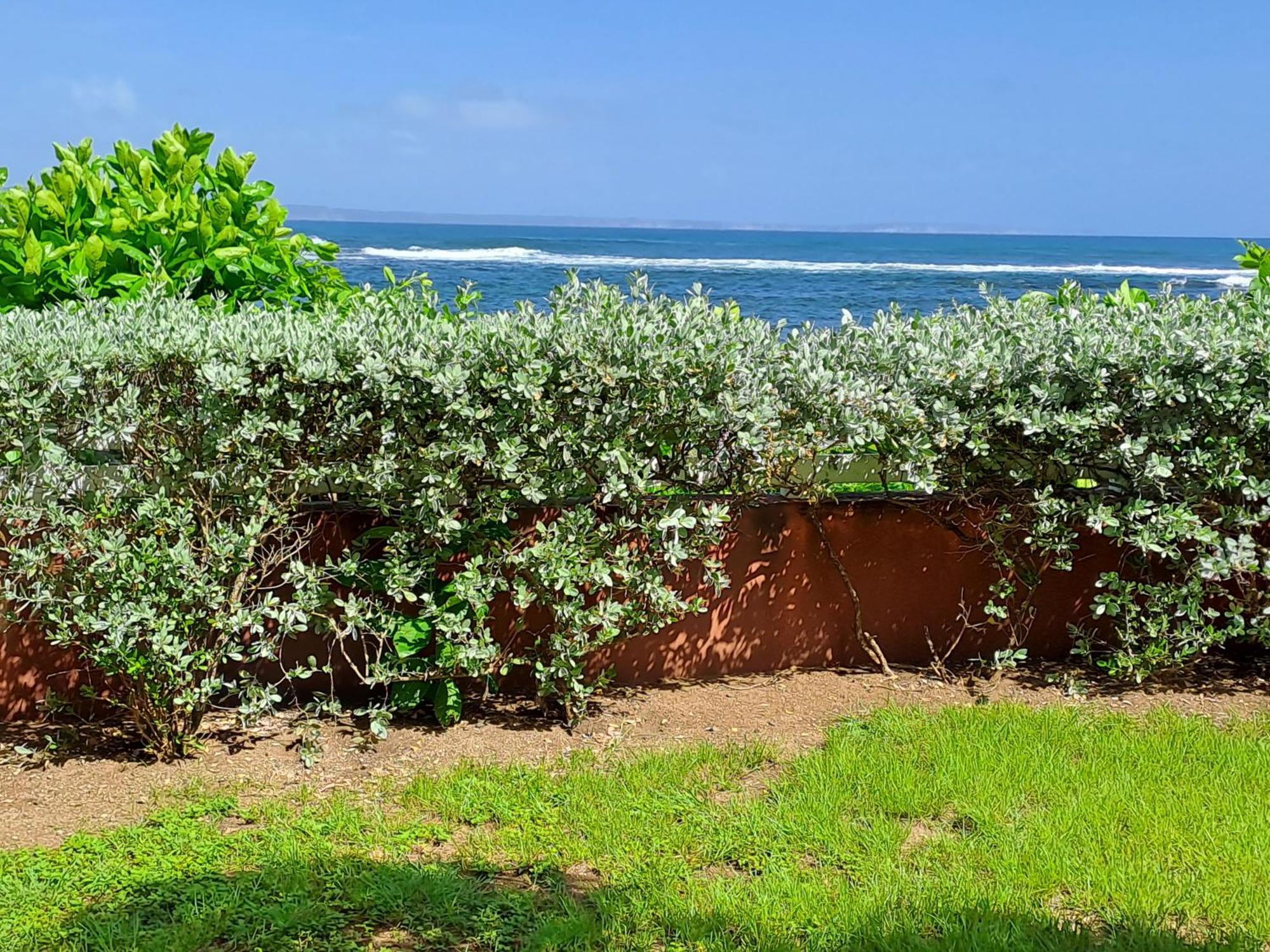 Rdc Appartement En Bord De Mer Au Son Des Vagues เลอ มูเล่ ภายนอก รูปภาพ